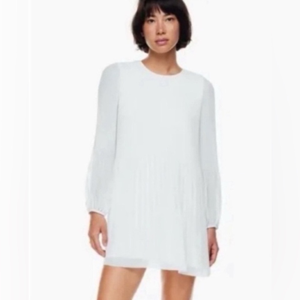 Aritzia Wilfred Daydreamer Mini Dress